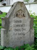 image of grave number 196768